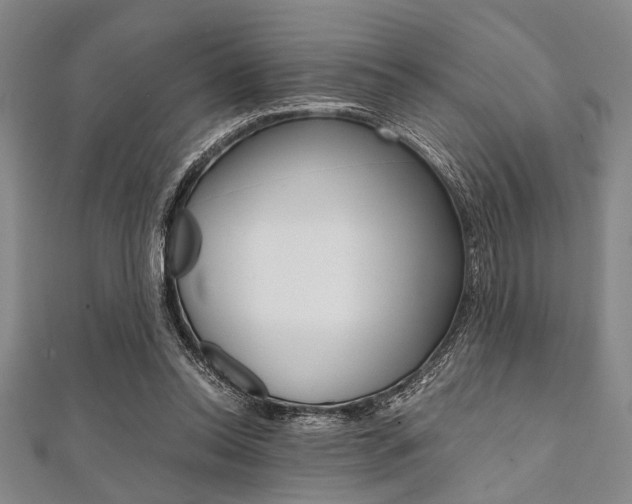 X0000112110350200908041156