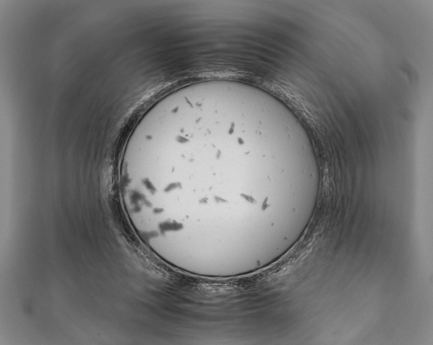 X0000112110351200908041156