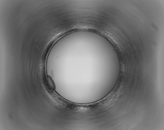 X0000112110352200908041156