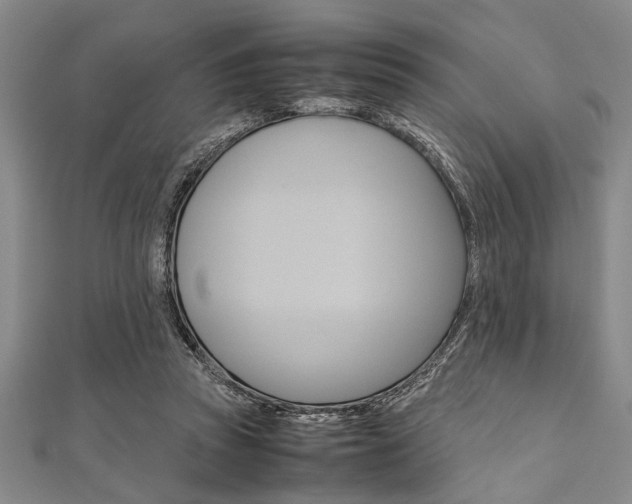 X0000112110353200908041156