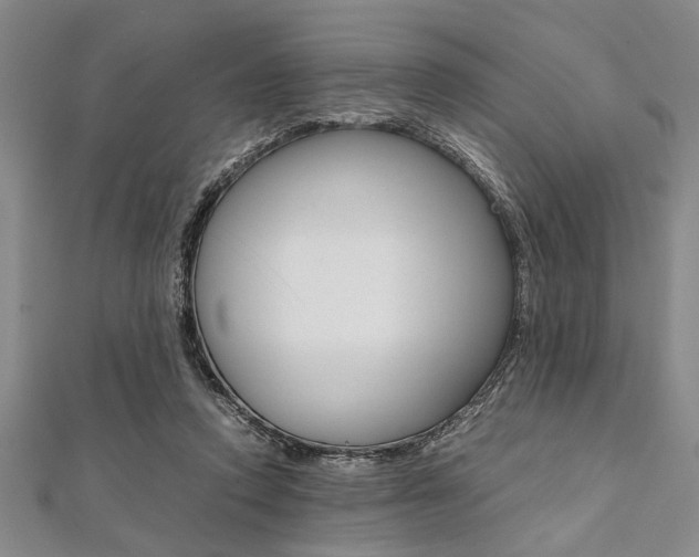 X0000112110354200908041156
