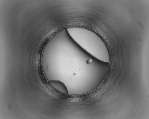 X0000112110356200908041156