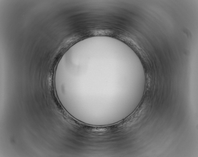 X0000112110357200908041156