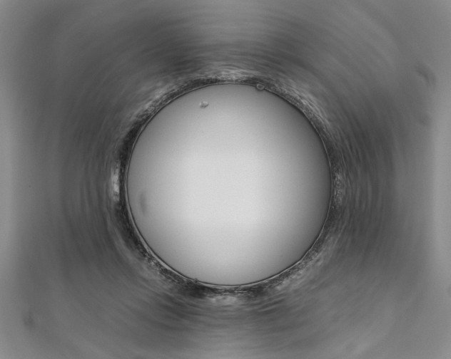 X0000112110358200908041156
