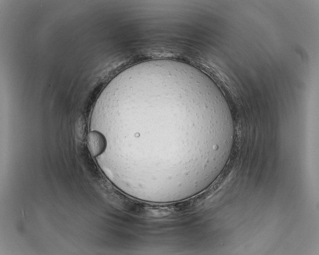 X0000112110359200908041156