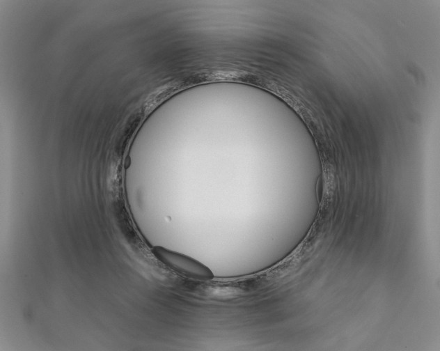 X0000112110360200908041156