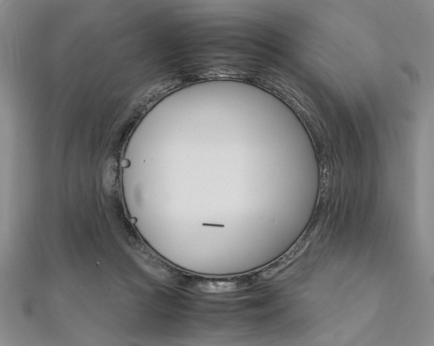 X0000112110361200908041156