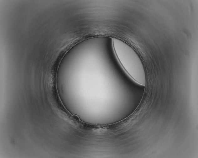 X0000112110362200908041156