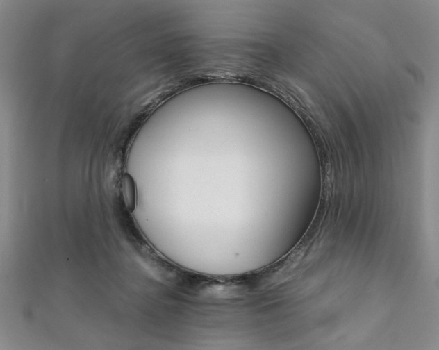 X0000112110364200908041156