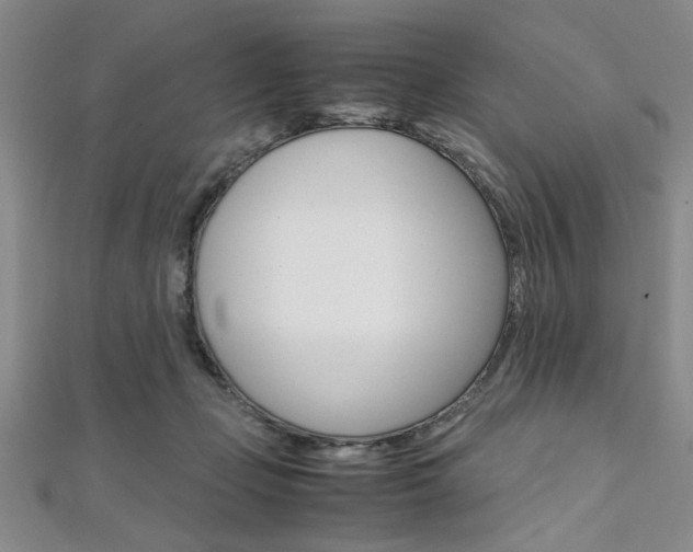 X0000112110365200908041156