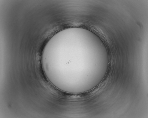 X0000112110366200908041156