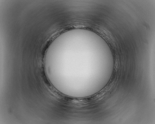 X0000112110367200908041156
