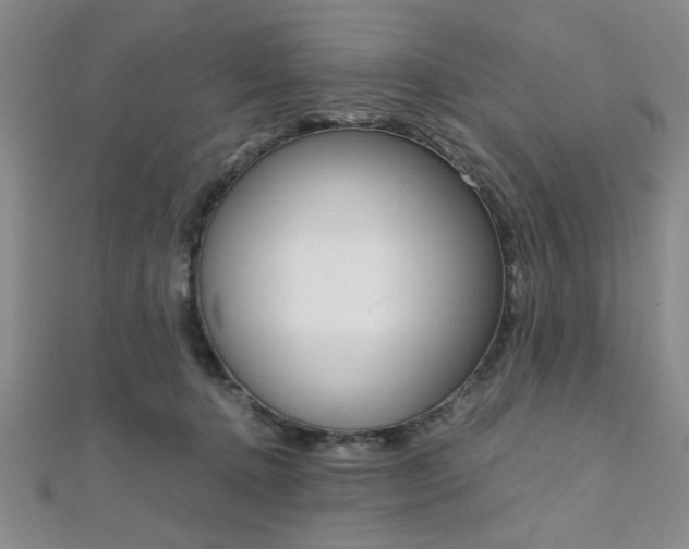 X0000112110368200908041156