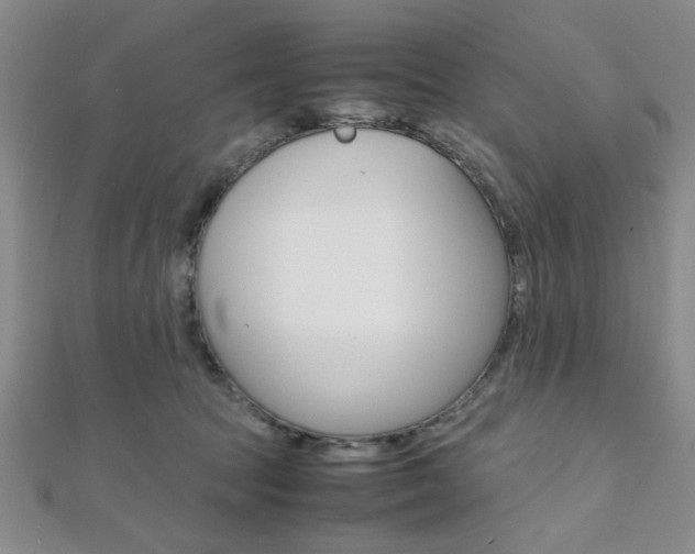 X0000112110369200908041156