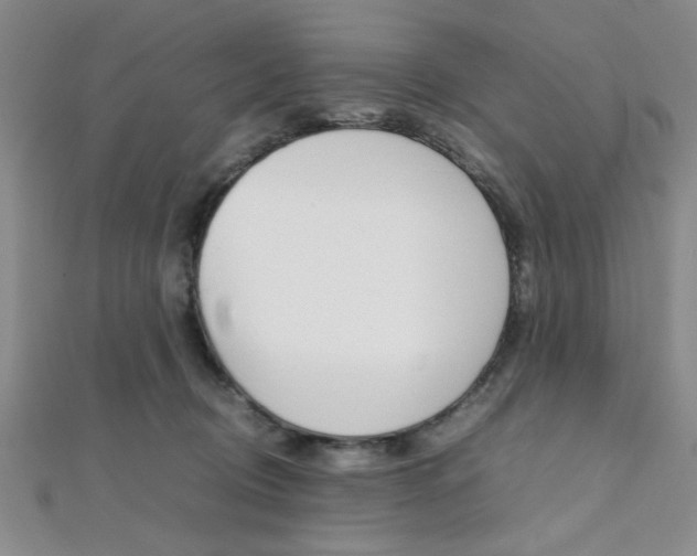 X0000112110370200908041156