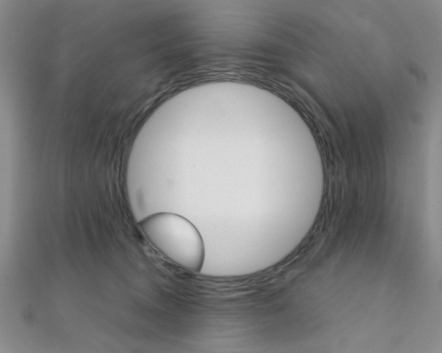 X0000112110372200908041156