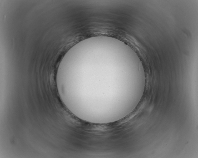 X0000112110377200908041156