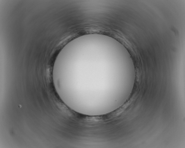 X0000112110378200908041156