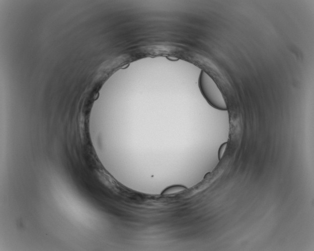 X0000112110381200908041156
