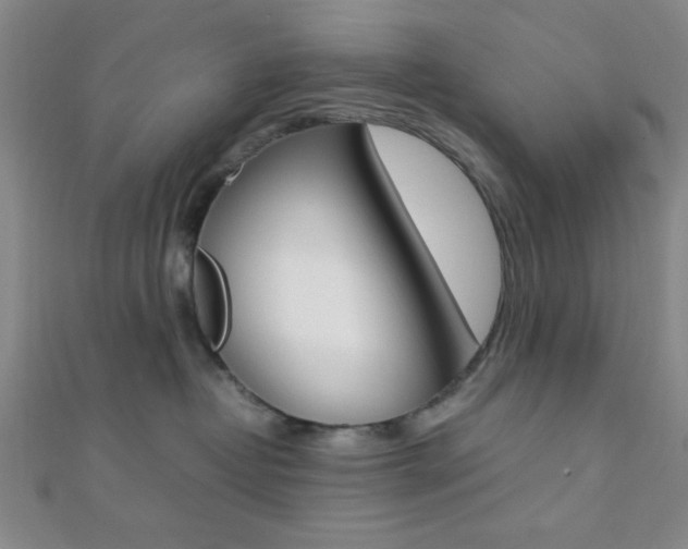 X0000112110382200908041156