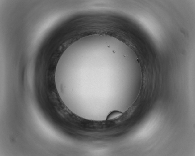 X0000112110383200908041156
