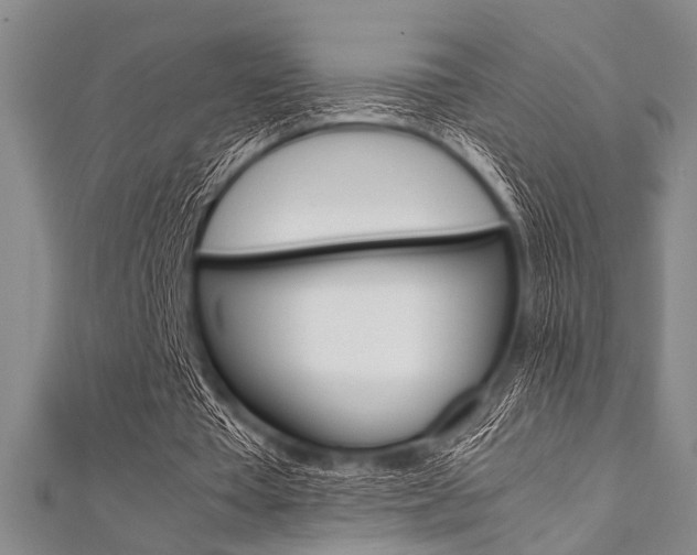 X0000112110385200908041156