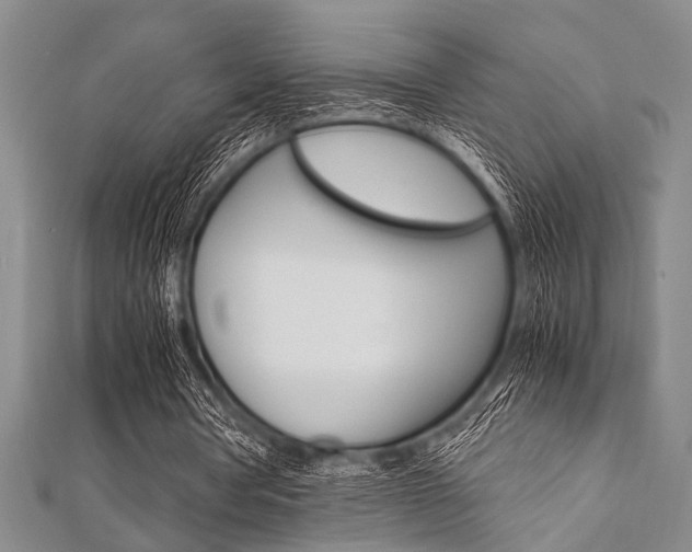 X0000112110386200908041156