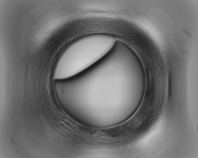 X0000112110387200908041156