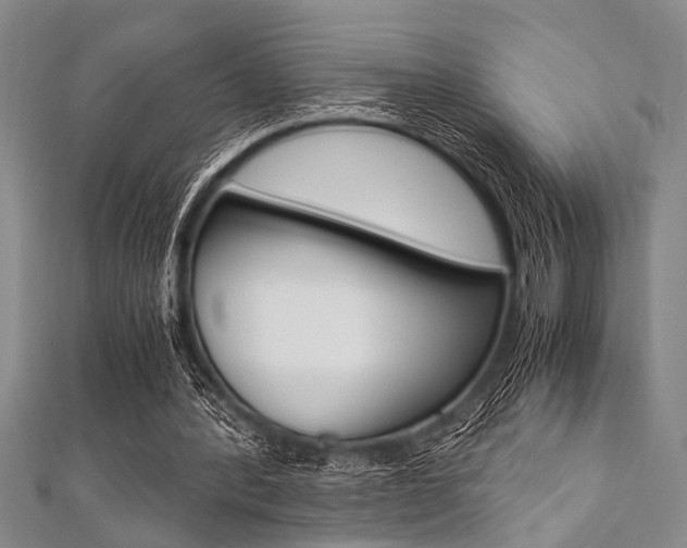 X0000112110388200908041156