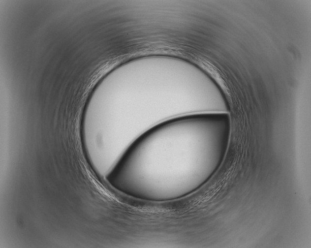 X0000112110389200908041156