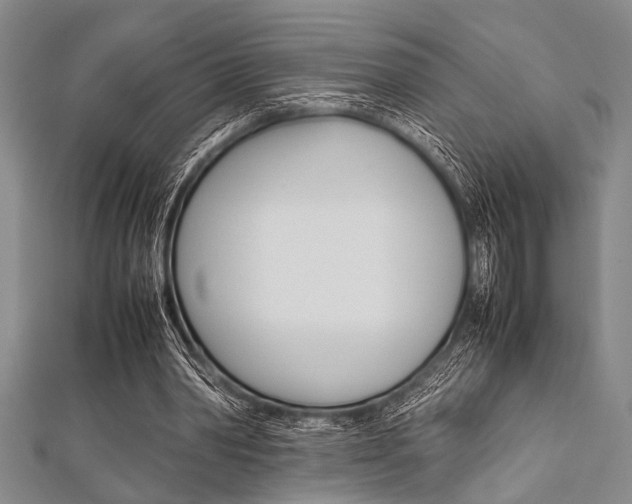 X0000112110390200908041156