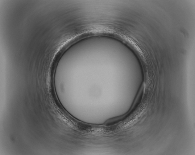 X0000112110391200908041156