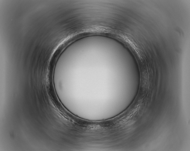 X0000112110392200908041156