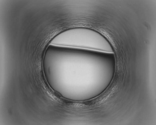 X0000112110393200908041156