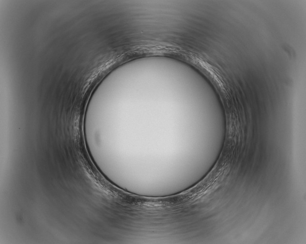 X0000112110394200908041156