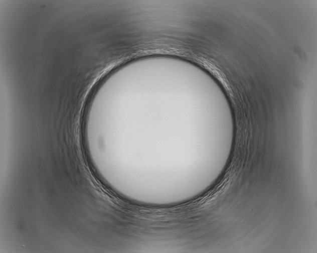 X0000112110395200908041156