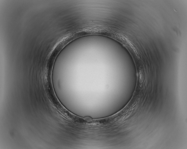 X0000112110396200908041156