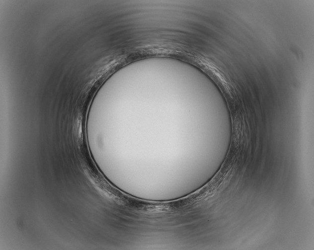 X0000112110398200908041156