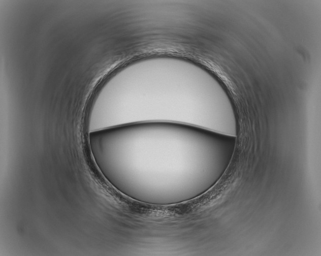 X0000112110399200908041155