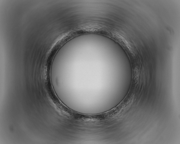 X0000112110400200908041155