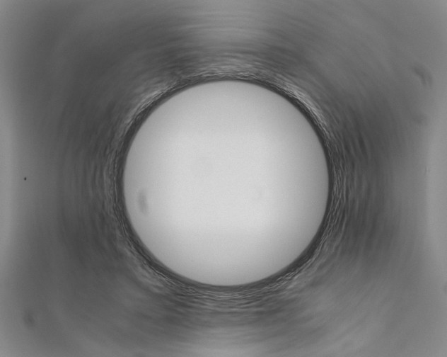 X0000112110403200908041155