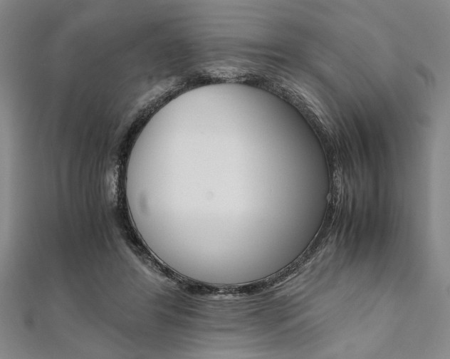 X0000112110404200908041155