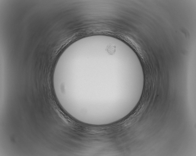 X0000112110405200908041155