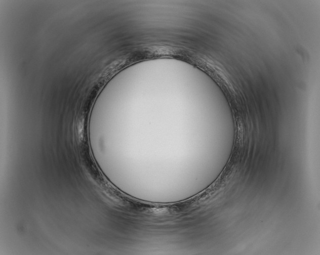 X0000112110406200908041155