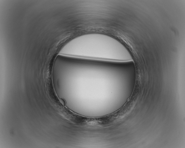 X0000112110407200908041155