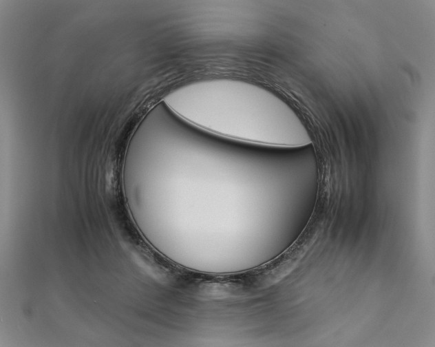 X0000112110408200908041155