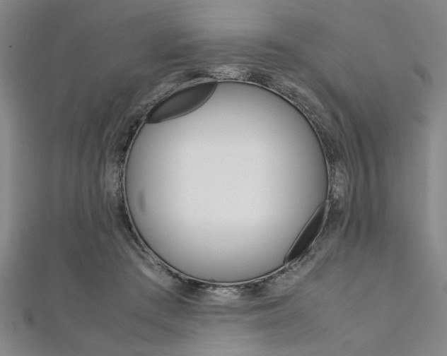 X0000112110409200908041155
