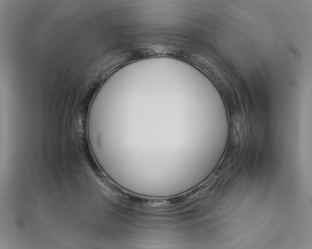 X0000112110410200908041155
