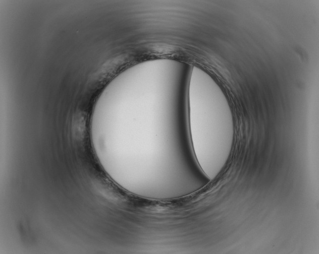 X0000112110412200908041155