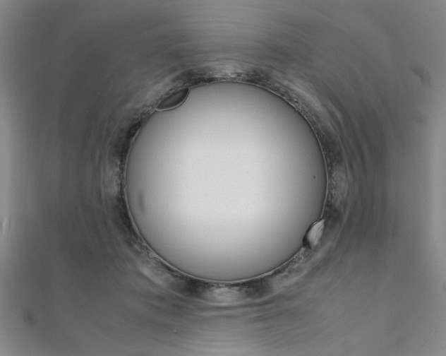 X0000112110413200908041155